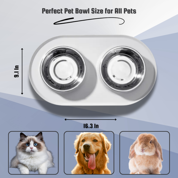 PAWHEAVENBYSOHAIB Elegant Cat and Dog Bowls with Tray | Removable Stainless Steel Food and Water Cat Bowls | Non-Slip, Waterproof Cat Silicone Mat with Raised Edges for Spill-Free Feeding | Ideal for Cats,Dogs & Rabbits - Image 2