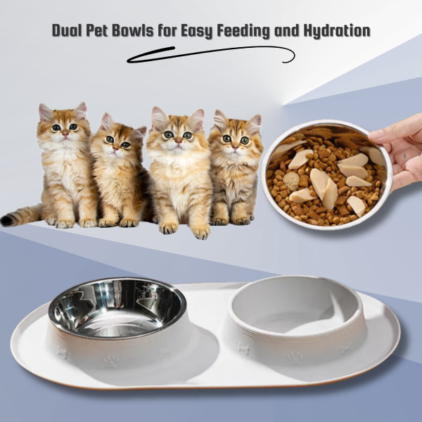 PAWHEAVENBYSOHAIB Elegant Cat and Dog Bowls with Tray | Removable Stainless Steel Food and Water Cat Bowls | Non-Slip, Waterproof Cat Silicone Mat with Raised Edges for Spill-Free Feeding | Ideal for Cats,Dogs & Rabbits - Image 5