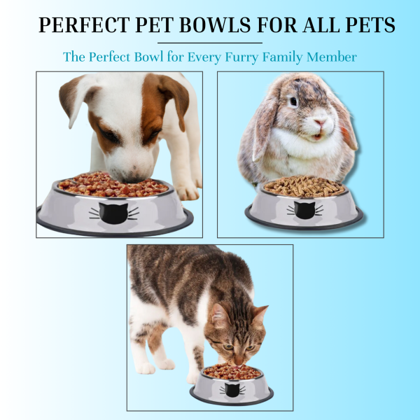 PAWHEAVENBYSOHAIB 3 Pack Stainless Steel Cat Bowls with 2 Spoons and 2 Cat Toys, Non-Slip Cat Feeder with Curved Sides to Prevent Whisker Fatigue, Cat Bowl - Image 6